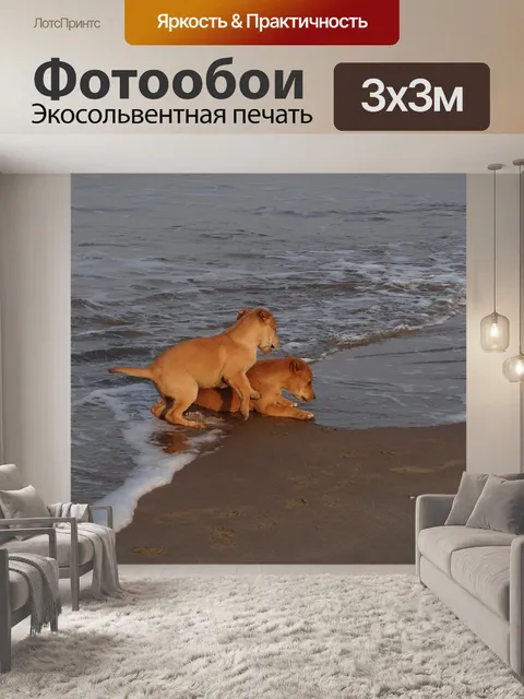 Фотообои Щенок