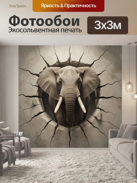300 × 300 см · Экосольвентная печать