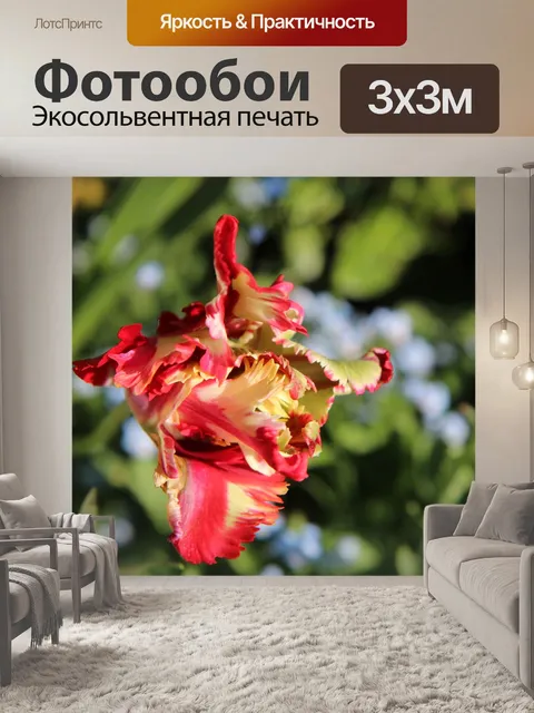 Фотообои Тюльпан