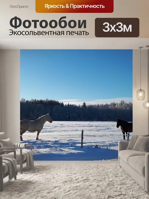 Фотообои Лошади