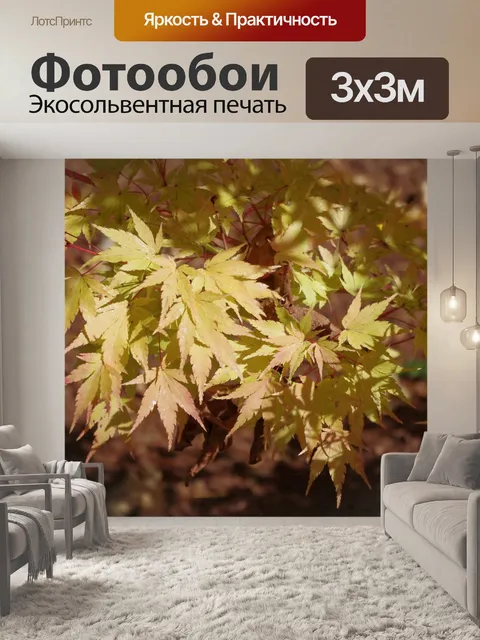 Фотообои Падение