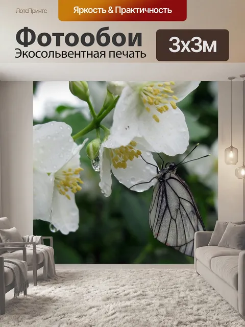 Фотообои Бабочка