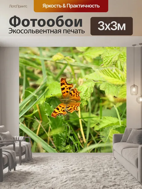Фотообои Природа