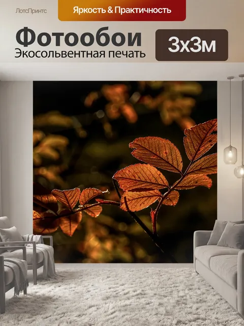 Фотообои Падение