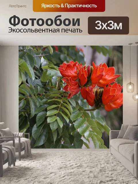 Фотообои Тюльпанное дерево