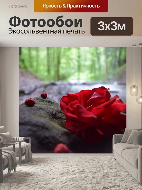 Фотообои Роза
