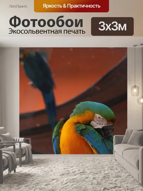 Фотообои Попугай
