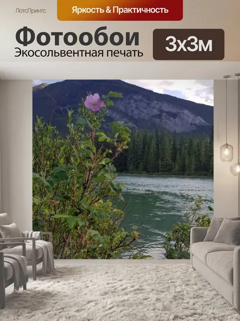 Фотообои Уайлдфлауэр в горах