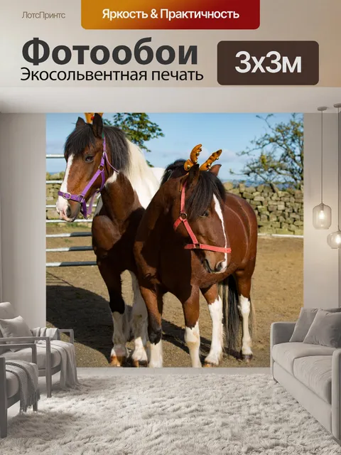 Фотообои лошадь