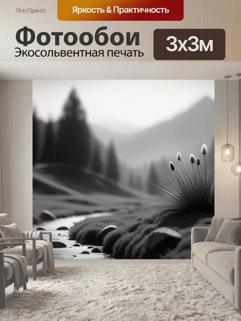 Фотообои пейзаж с пылью чернобелый