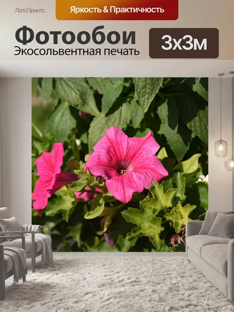 Фотообои Цветы