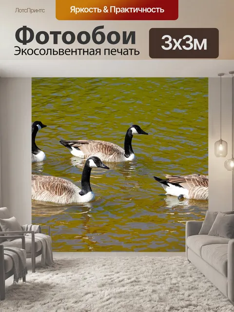Фотообои Гуси