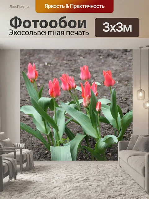 Фотообои Цветок