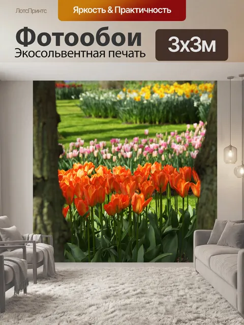 Фотообои Keukenhof сады