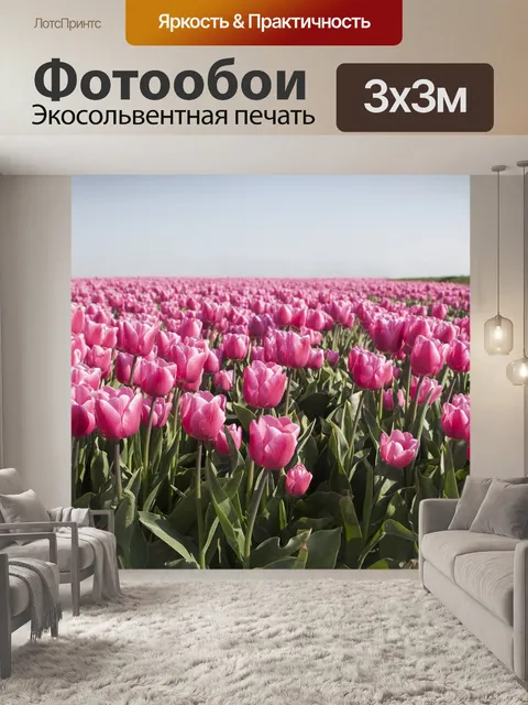 Фотообои Тюльпаны