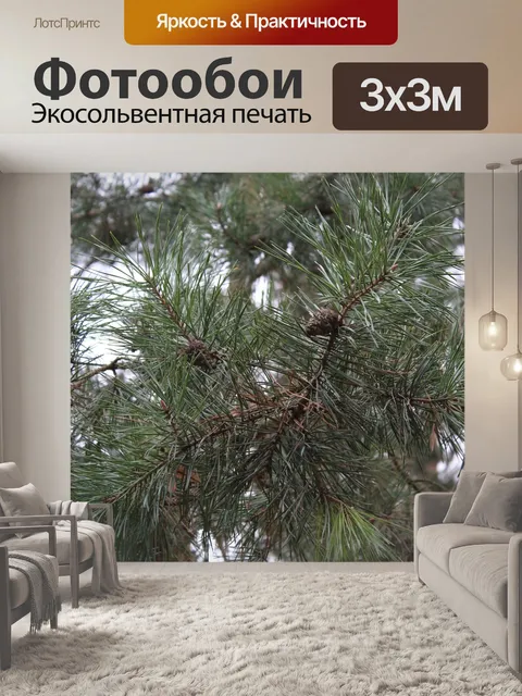 Фотообои Сосна