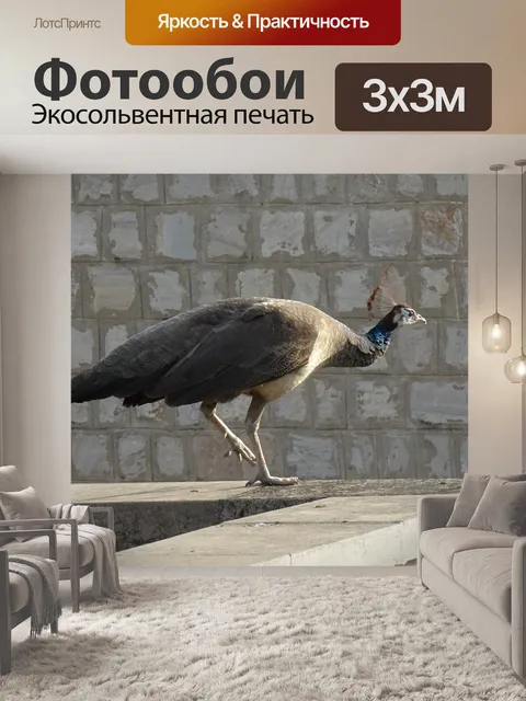 Фотообои Птица