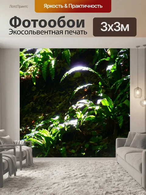 Фотообои Лес