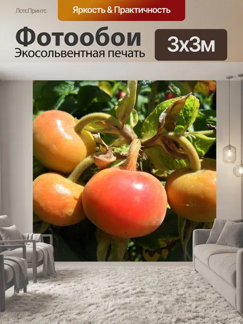 Фотообои Wild Rose Фрукты