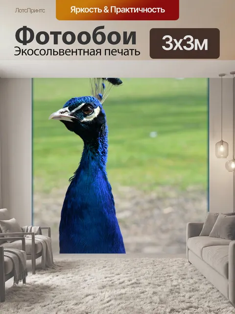 Фотообои Павлин 2