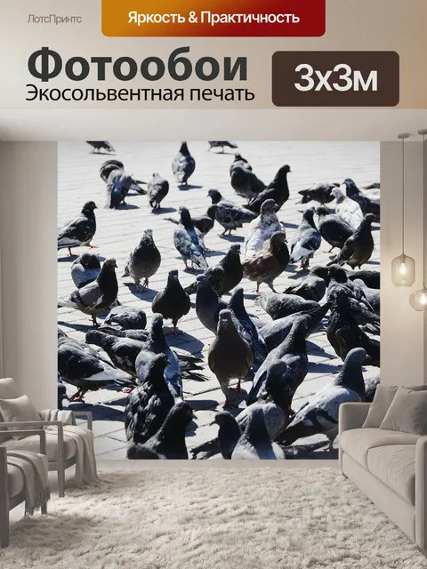 Фотообои Голуби