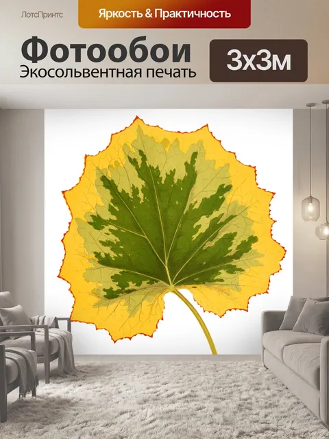 Фотообои Листва лист растение прозрачный