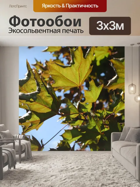 Фотообои Лист