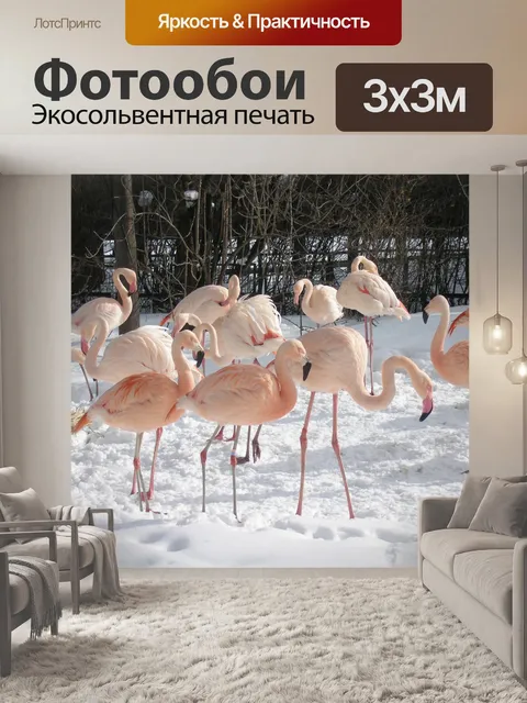 Фотообои Фламинго