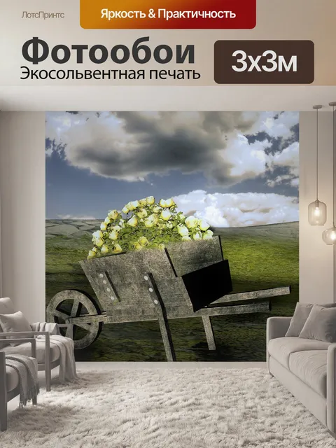 Фотообои Фон