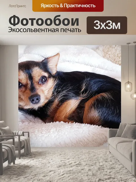 Фотообои Собака