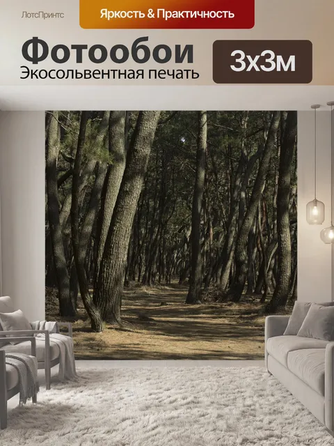 Фотообои Деревья сосна