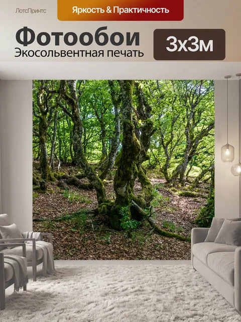 Фотообои Лес