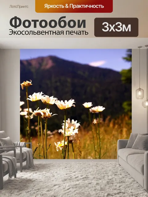 Фотообои Полевые цветы