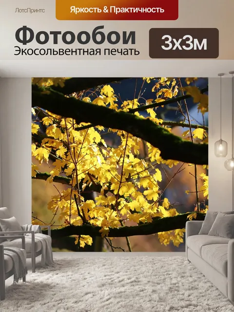 Фотообои Падение