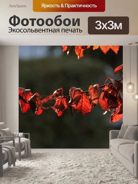 Фотообои Ветвь
