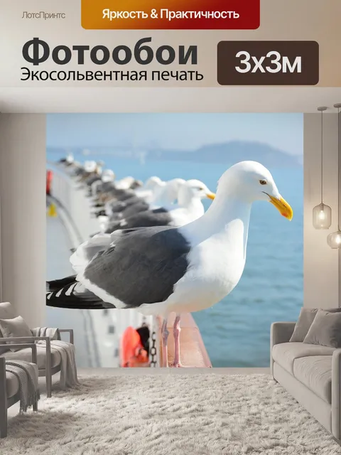 Фотообои Чайка
