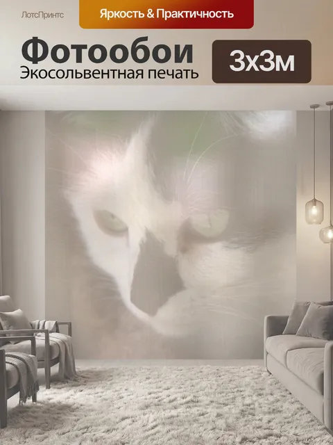 Фотообои Кошка