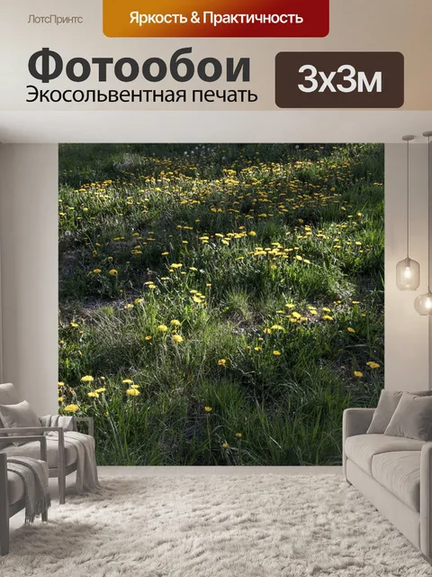 Фотообои Поле одуванчиков