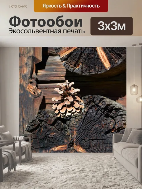 Фотообои Шишка