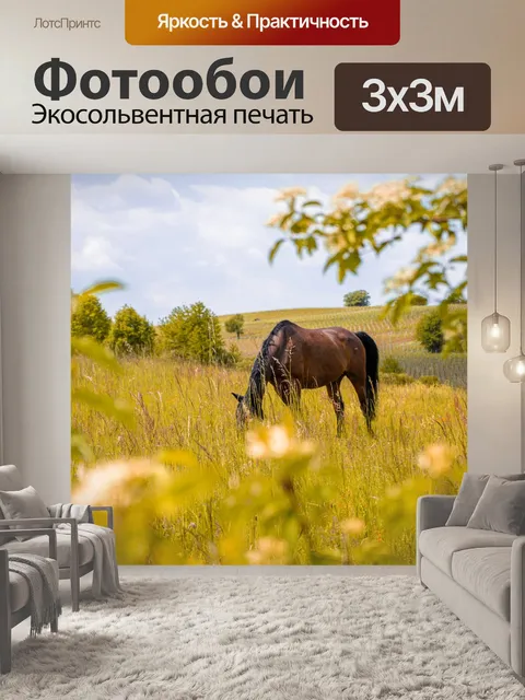Фотообои Лошадь