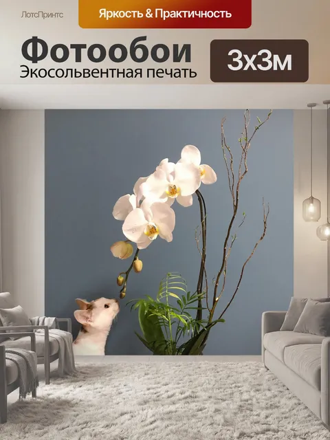 Фотообои Цветок