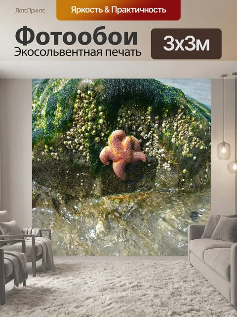 Фотообои Морская звезда