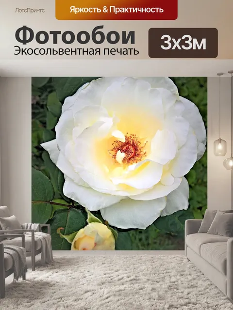 Фотообои Цветок