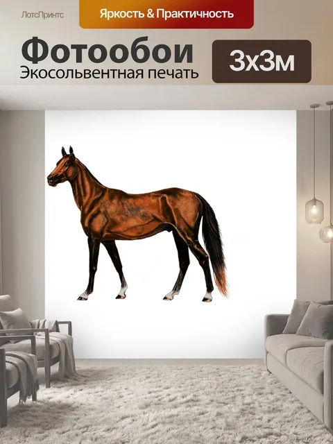 Фотообои Картина