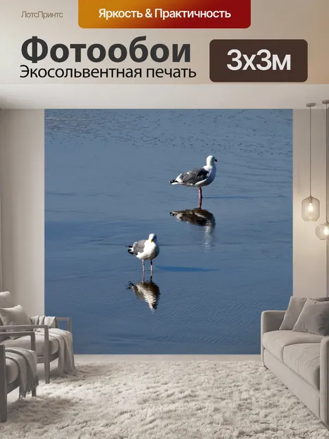 Фотообои Отраженный Чайки