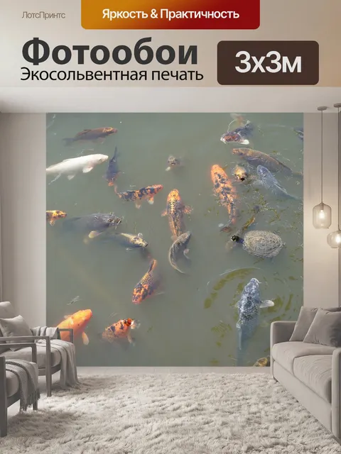 Фотообои Koi