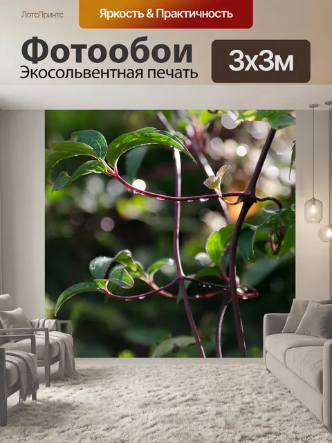 Фотообои Листья