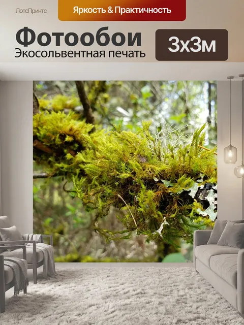 Фотообои Мох