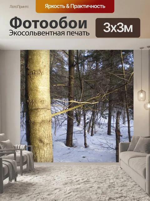 Фотообои Лесной пейзаж