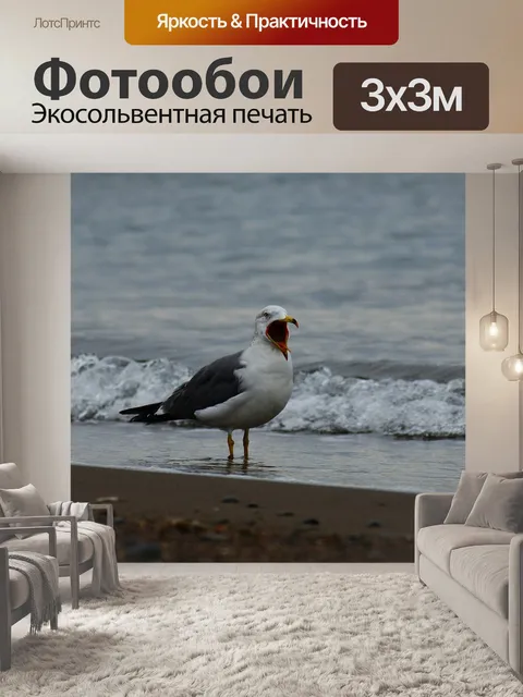 Фотообои Животное